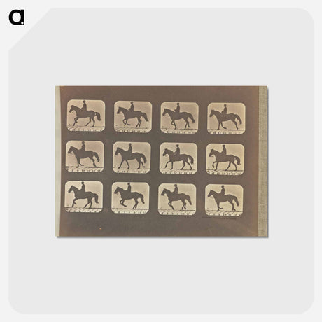 アートポストカード-Cantering
 - エドワード マイブリッジ Postcard.