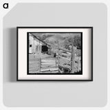 Farmyard of small Italian farmer - Dorothea Lange Poster.