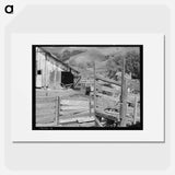 Farmyard of small Italian farmer - Dorothea Lange Poster.