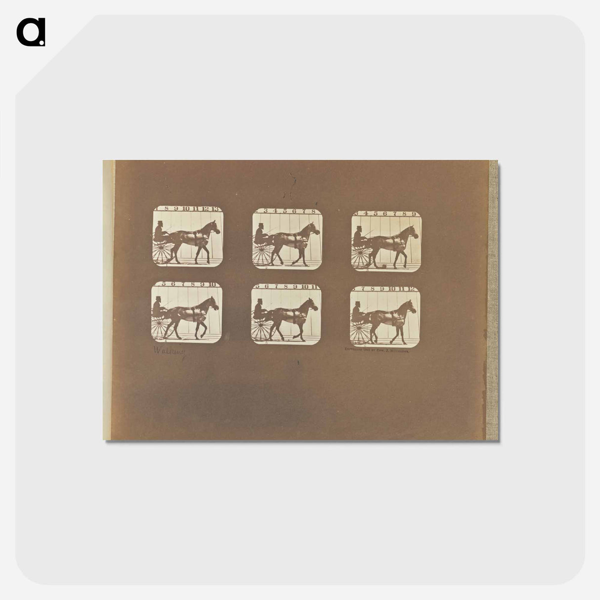 アートポストカード-Walking
 - エドワード マイブリッジ Postcard.