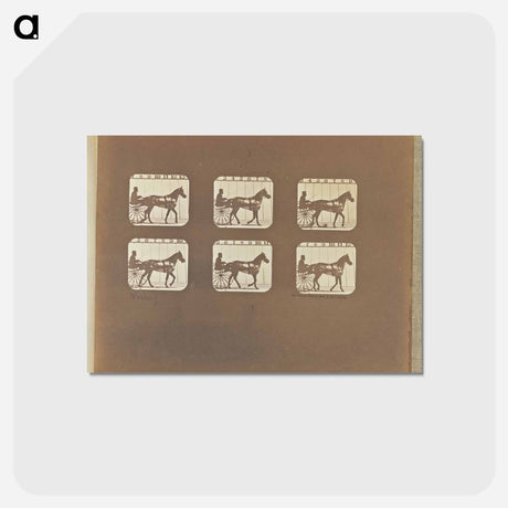 アートポストカード-Walking
 - エドワード マイブリッジ Postcard.
