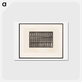 アートポストカード-Ascending Nude
 - エドワード マイブリッジ Postcard.