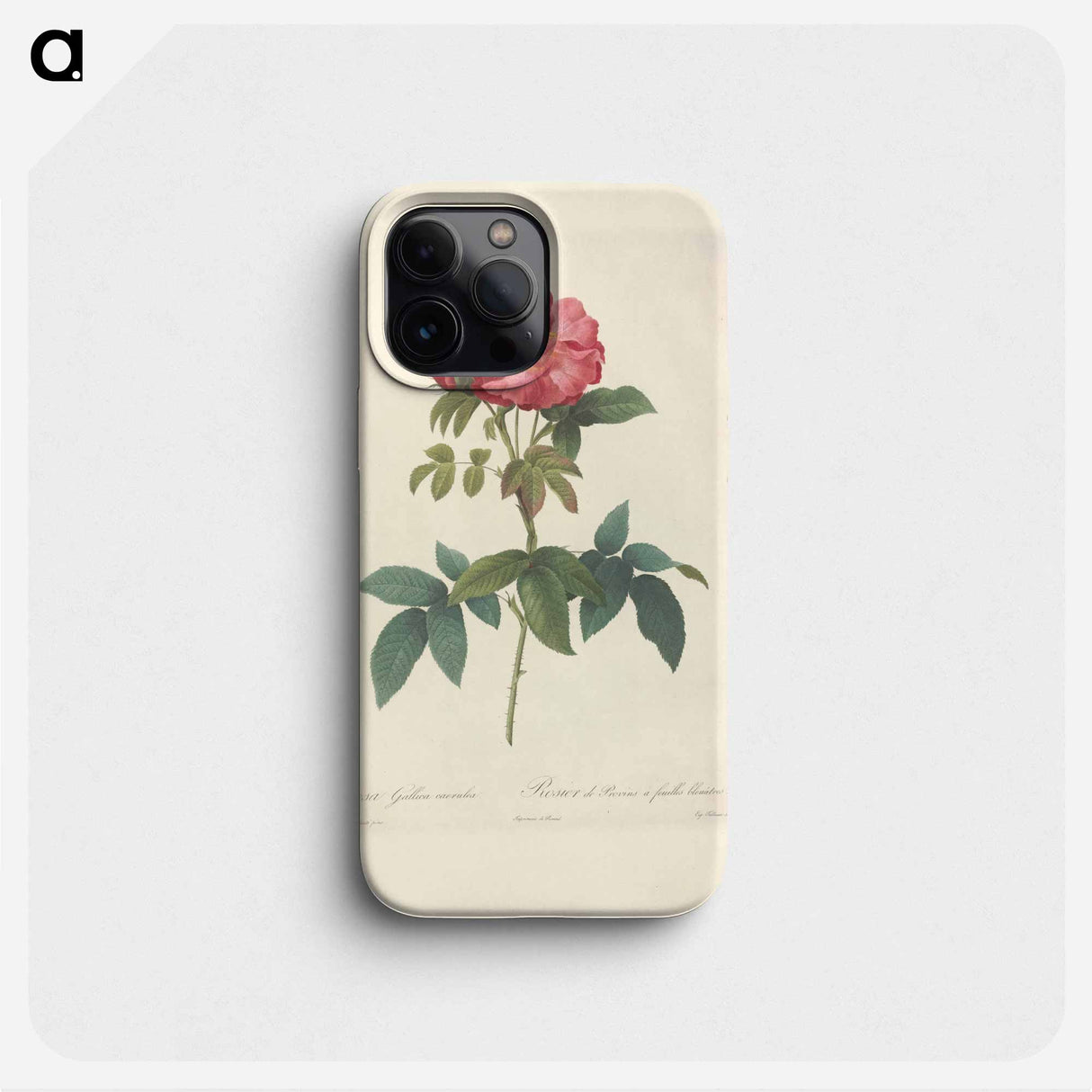 Rose illustration - ピエール ジョゼフ ルドゥーテ Phone Case.