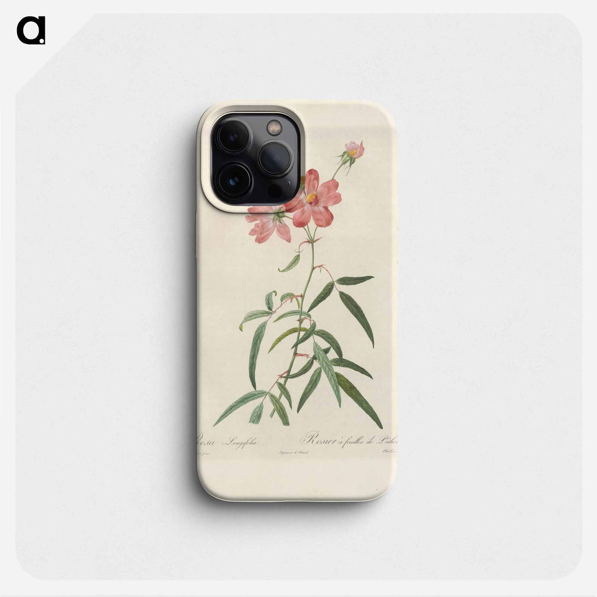 Rose illustration - ピエール ジョゼフ ルドゥーテ Phone Case.