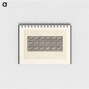 アートメモ帳-Rocking Horse and Rolling Barrel
 - エドワード マイブリッジ Memo.