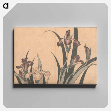 アートパネル-Iris - 葛飾 北斎 Canvas.