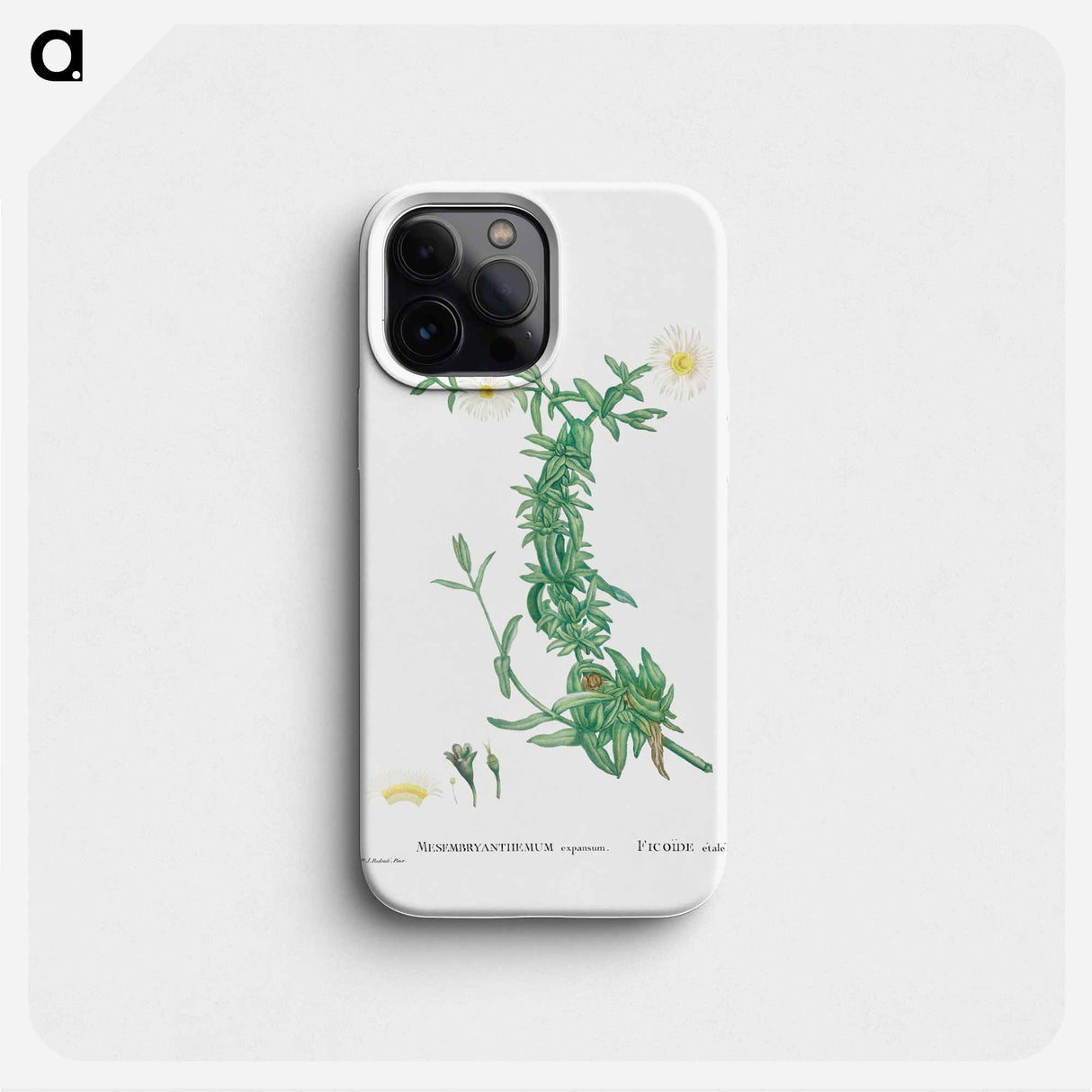 Mesembryanthemum expansum (Iceplant) - Pierre Joseph Redouté Phone Case.