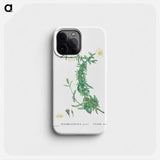 Mesembryanthemum expansum (Iceplant) - Pierre Joseph Redouté Phone Case.