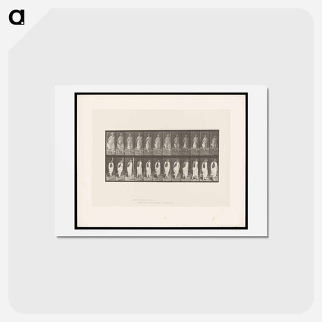 アートポストカード-Running Woman
 - エドワード マイブリッジ Postcard.