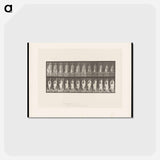 アートポストカード-Running Woman
 - エドワード マイブリッジ Postcard.