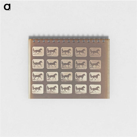 アートメモ帳-Irregular Gait
 - エドワード マイブリッジ Memo.