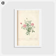 アートポストカード-Rose illustration - ピエール ジョゼフ ルドゥーテ Postcard.