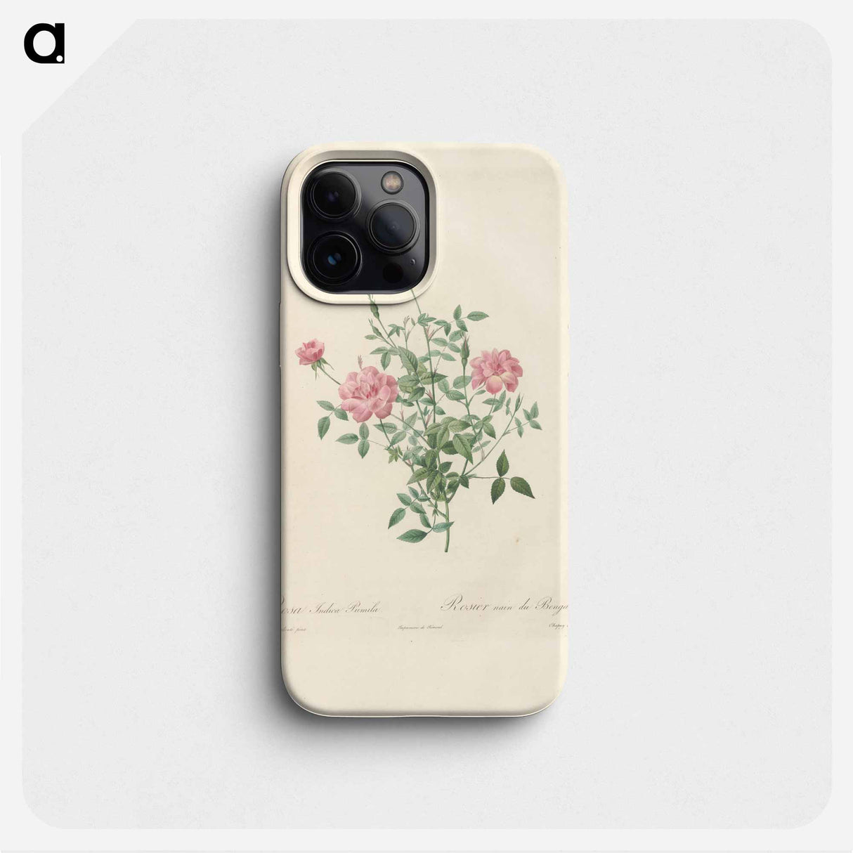 Rose illustration - ピエール ジョゼフ ルドゥーテ Phone Case.