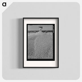 アートポスター-Shasta Dam Gravel
 - ラッセル リー Poster.