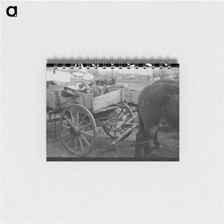 アートメモ帳-Shasta Dam Gravel
 - ラッセル リー Memo.