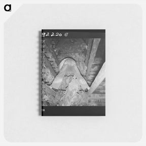 アートメモ帳-Untitled photo - ドロテア ラング Memo.