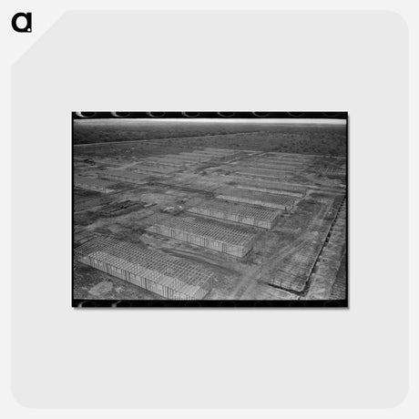 アートポストカード-Migrant Camp Under Construction
 - ラッセル リー Postcard.