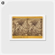 アートポストカード-Baths of Amolongo
 - エドワード マイブリッジ Postcard.