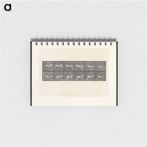 アートメモ帳-Jumping Horse
 - エドワード マイブリッジ Memo.