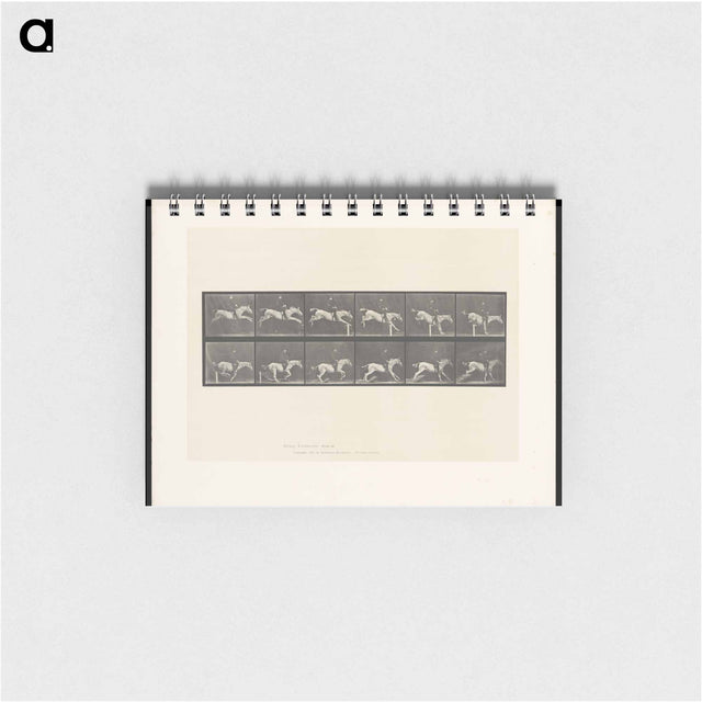 アートメモ帳-Jumping Horse
 - エドワード マイブリッジ Memo.