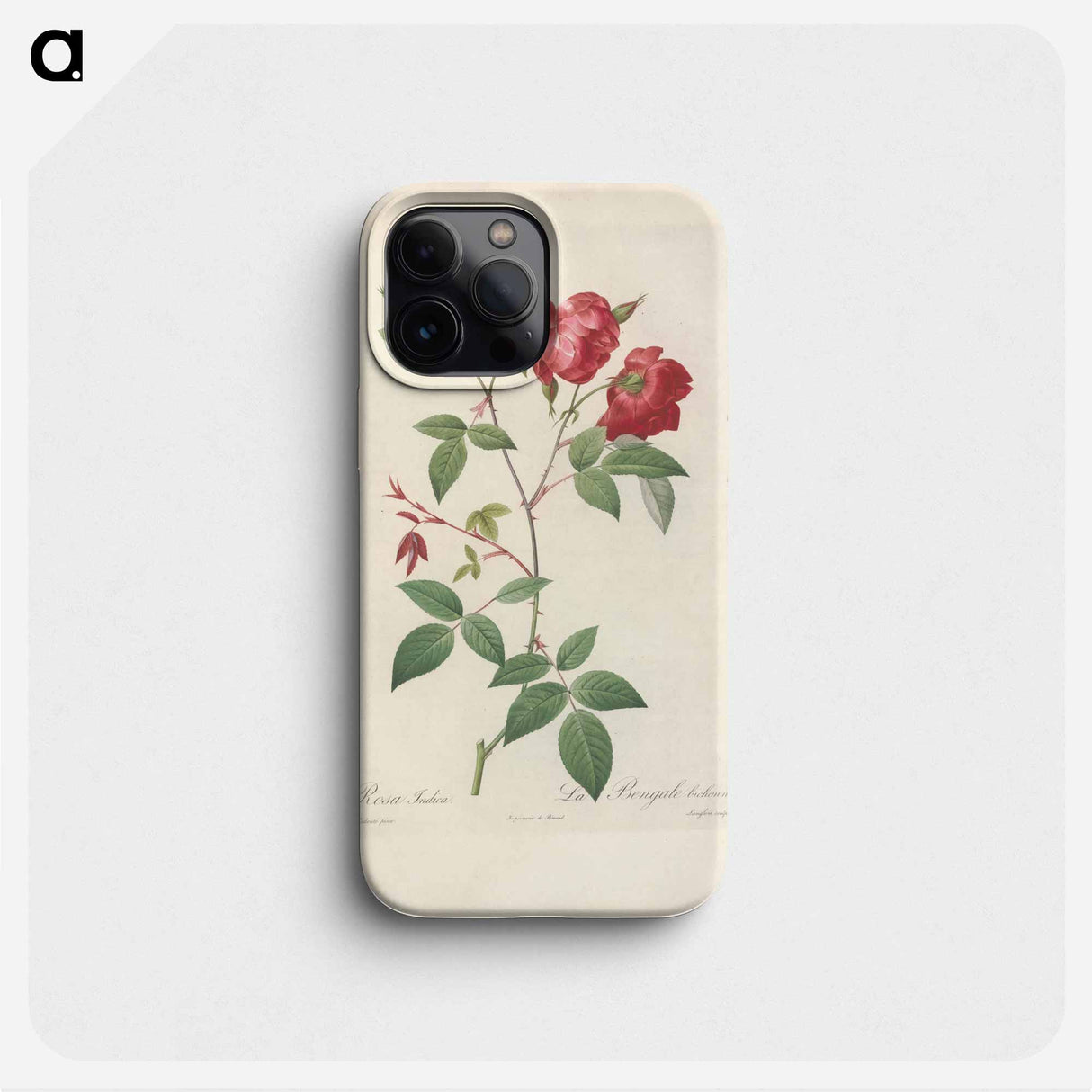 Rose illustration - ピエール ジョゼフ ルドゥーテ Phone Case.