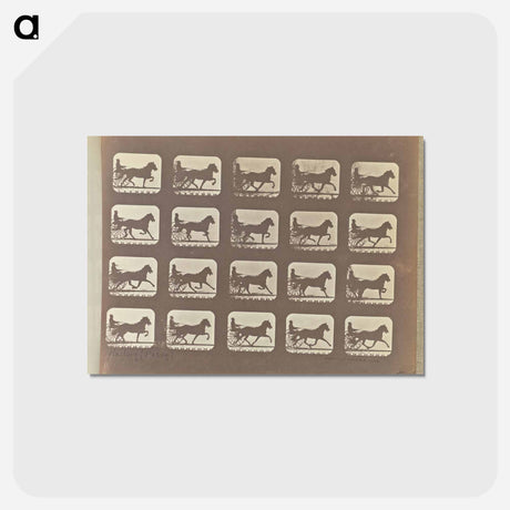 アートポストカード-Racking (Pacing)
 - エドワード マイブリッジ Postcard.