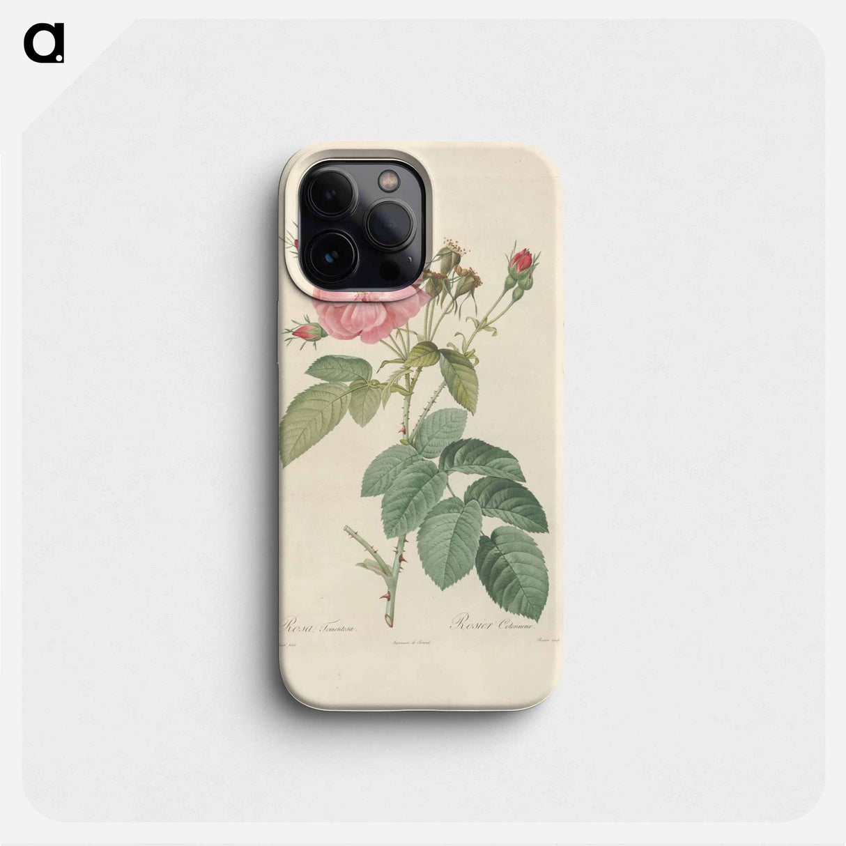 Rose illustration - ピエール ジョゼフ ルドゥーテ Phone Case.