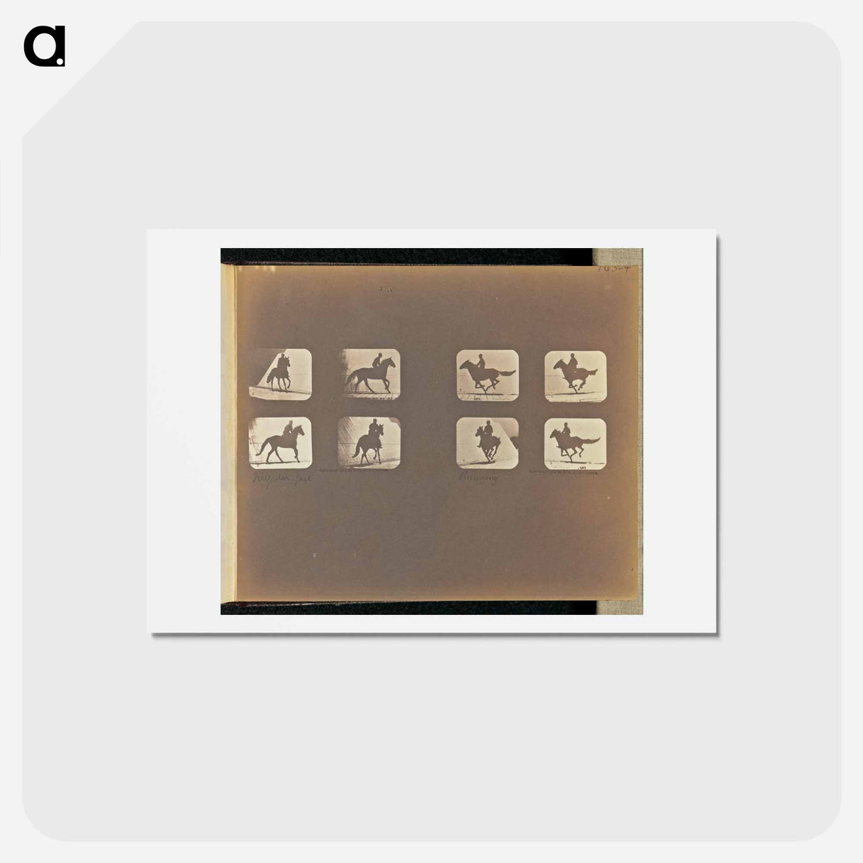 アートポストカード-Irregular Gait
 - エドワード マイブリッジ Postcard.