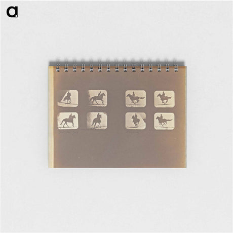 アートメモ帳-Irregular Gait
 - エドワード マイブリッジ Memo.