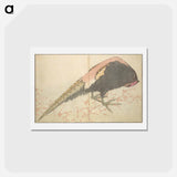 アートポストカード-A Realistic Sketchbook by Hokusai - 葛飾 北斎 Postcard.