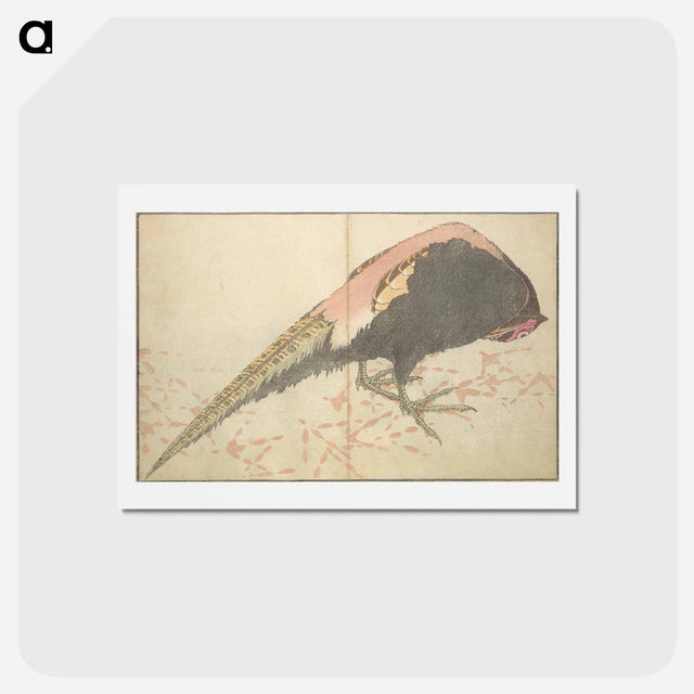 アートポストカード-A Realistic Sketchbook by Hokusai - 葛飾 北斎 Postcard.