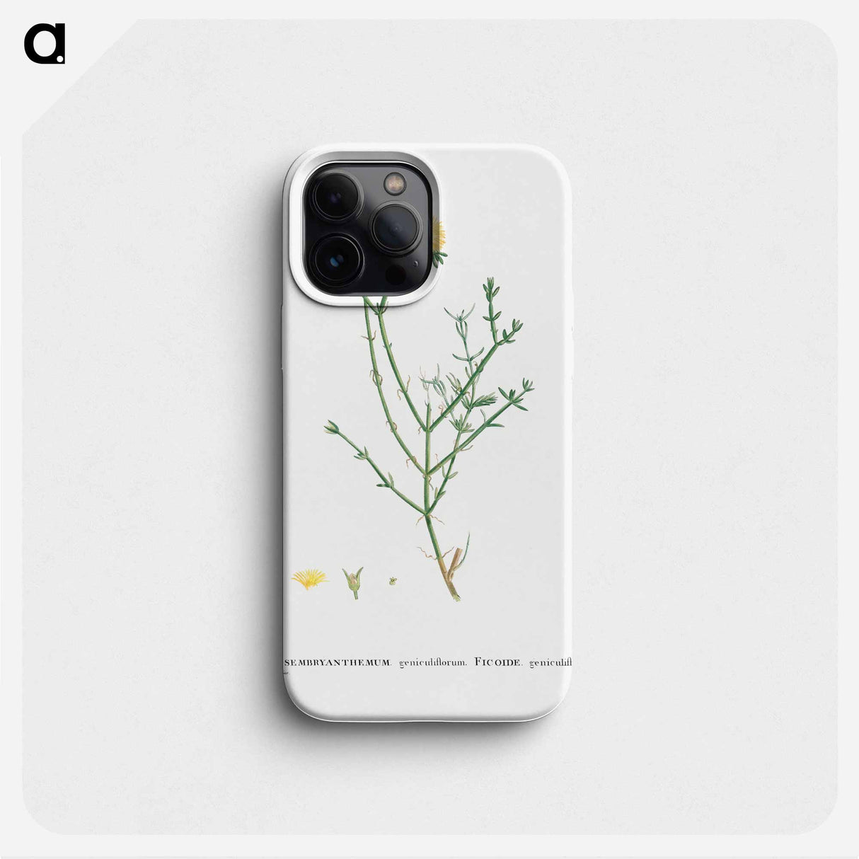 Mesembryanthemum Geniculiflorum - Pierre Joseph Redouté Phone Case.