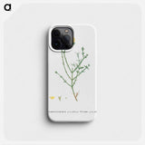 Mesembryanthemum Geniculiflorum - Pierre Joseph Redouté Phone Case.