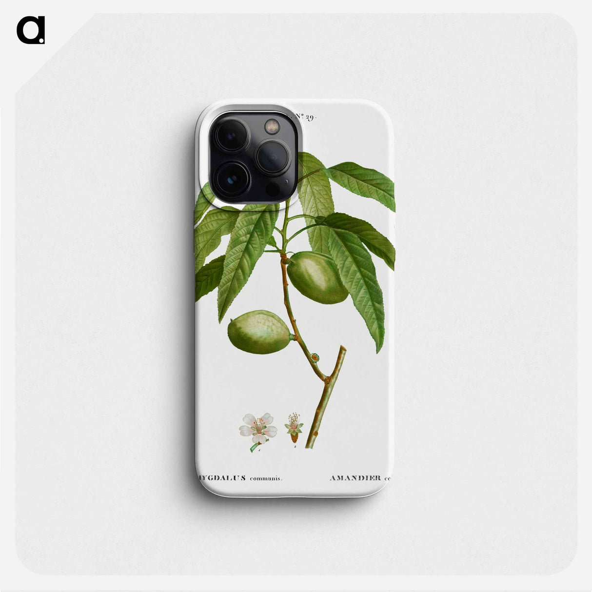 Almond, Amygdalus communis - Pierre Joseph Redouté Phone Case.