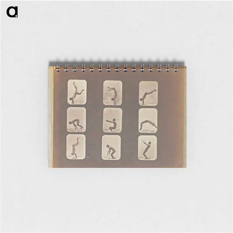 アートメモ帳-Flip Flap
 - エドワード マイブリッジ Memo.