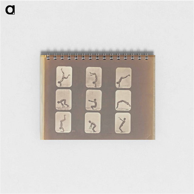 アートメモ帳-Flip Flap
 - エドワード マイブリッジ Memo.