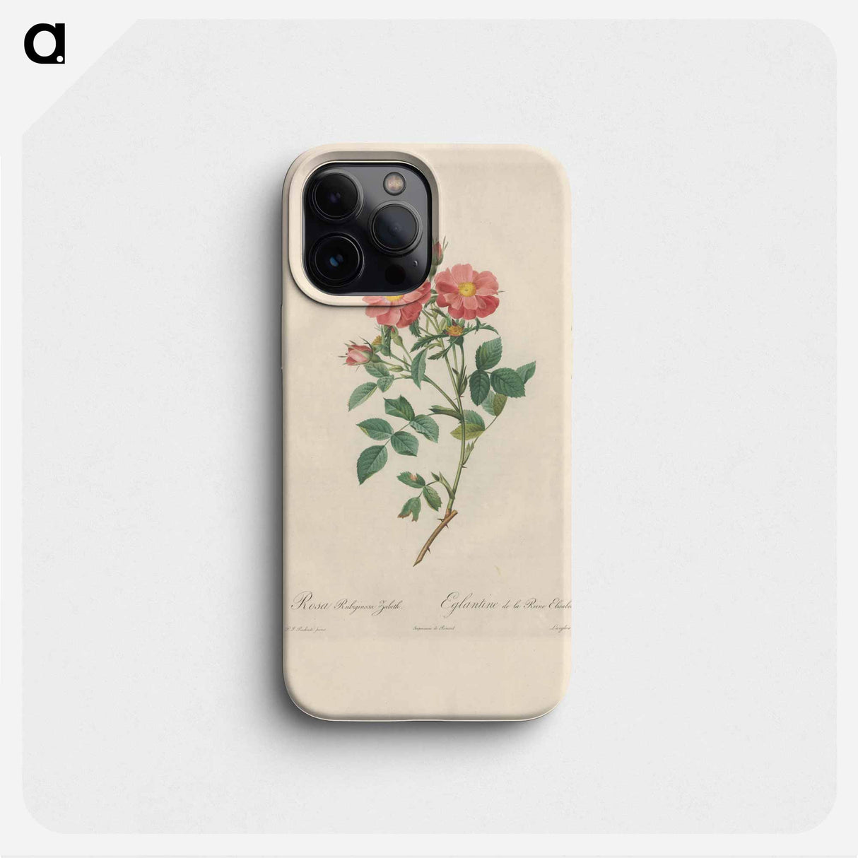 Rose illustration - ピエール ジョゼフ ルドゥーテ Phone Case.