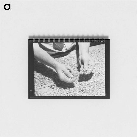 アートメモ帳-Packing Spinach
 - ラッセル リー Memo.