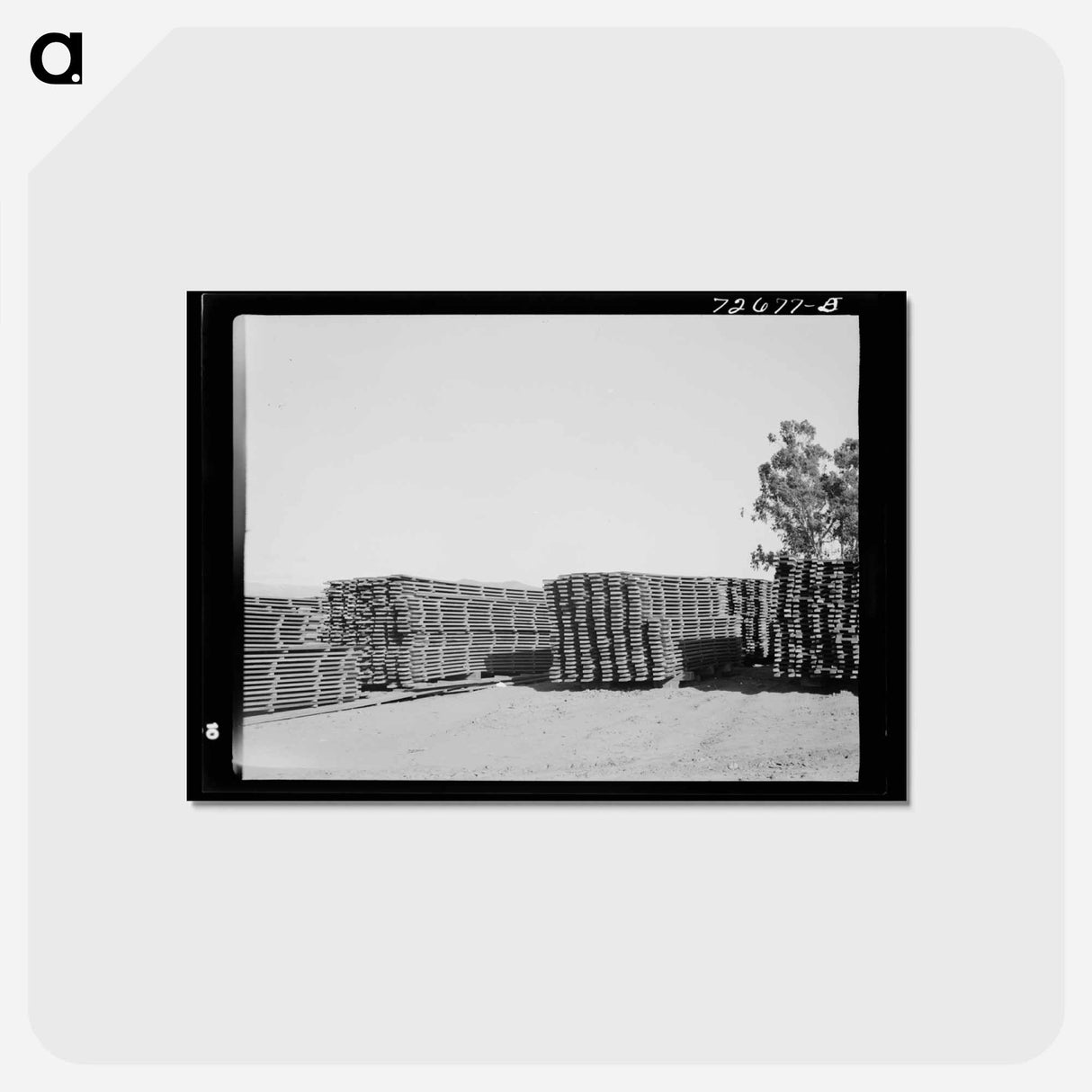 アートポストカード-Guayule Nursery Duckboards
 - ラッセル リー Postcard.