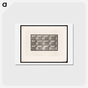 アートポストカード-Horse in Motion
 - エドワード マイブリッジ Postcard.