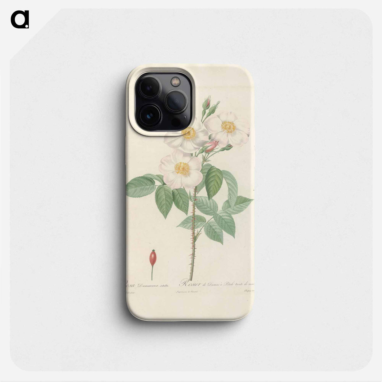 Rose illustration - ピエール ジョゼフ ルドゥーテ Phone Case.