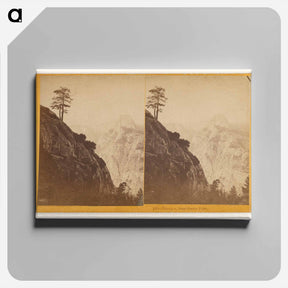 アートパネル-Tisayack, from Glacier Point
 - エドワード マイブリッジ Canvas.
