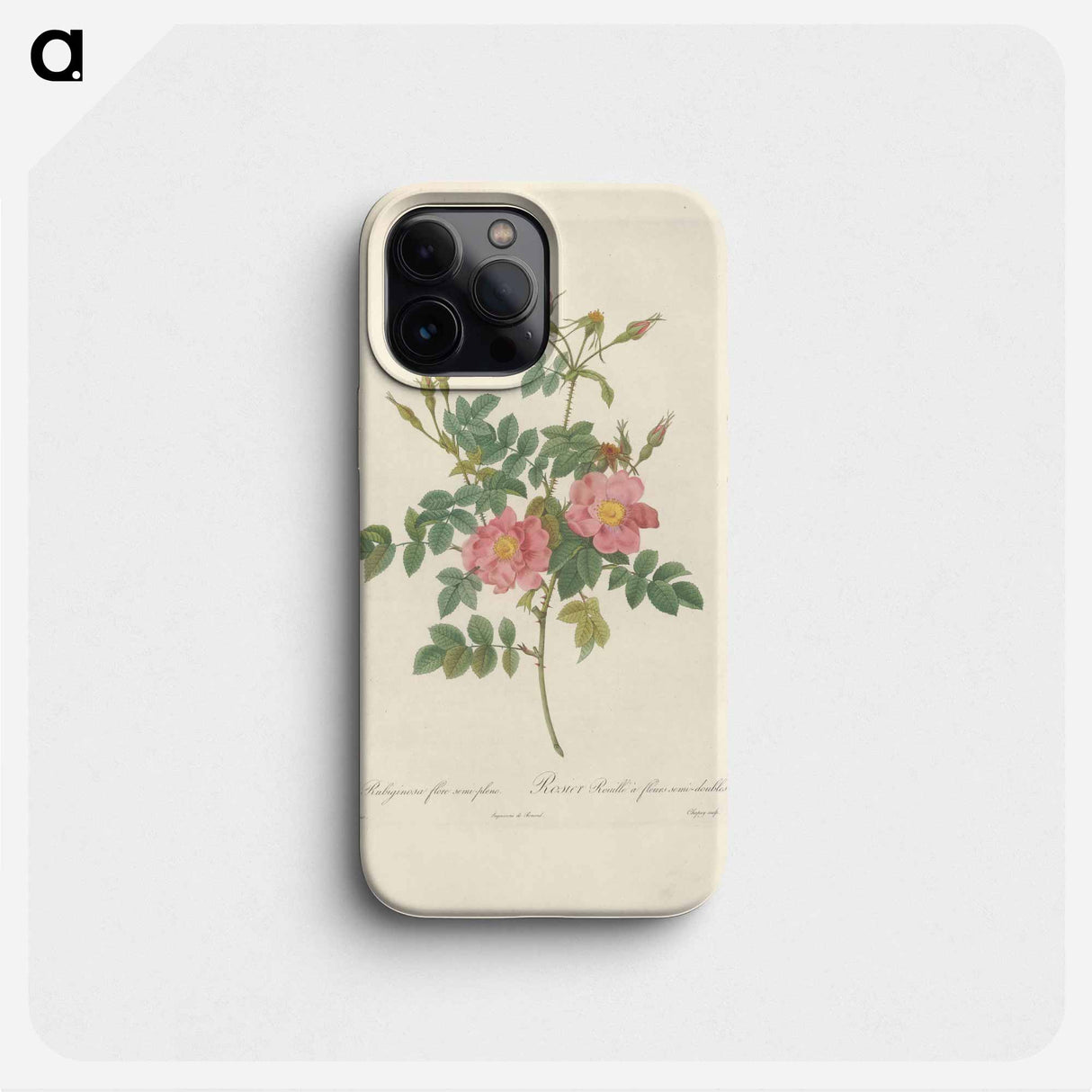 Rose illustration - ピエール ジョゼフ ルドゥーテ Phone Case.