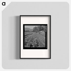 アートポスター-Garden in Jackson County
 - ラッセル リー Poster.