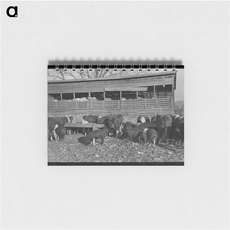 アートメモ帳-Garden in Jackson County
 - ラッセル リー Memo.