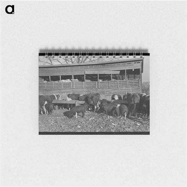 アートメモ帳-Garden in Jackson County
 - ラッセル リー Memo.