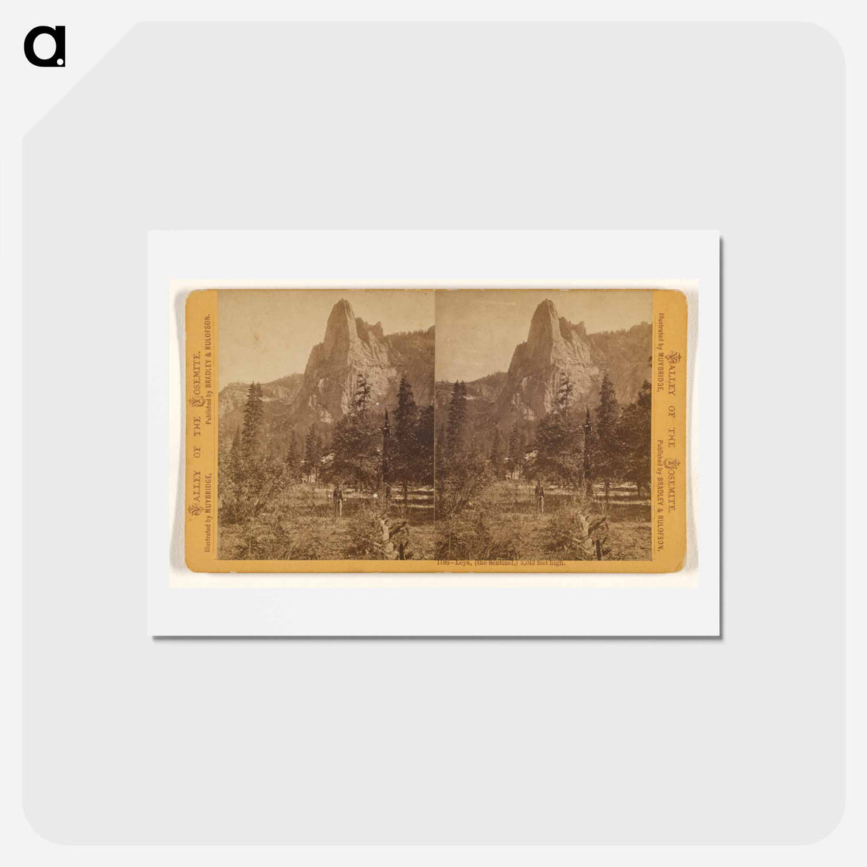 アートポストカード-Loya, the Sentinel
 - エドワード マイブリッジ Postcard.