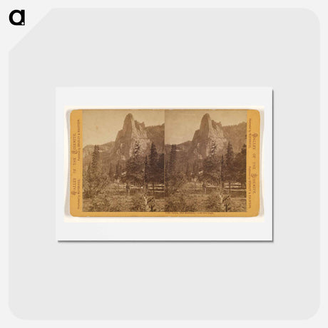 アートポストカード-Loya, the Sentinel
 - エドワード マイブリッジ Postcard.