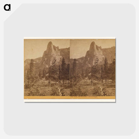 アートポストカード-Loya, the Sentinel
 - エドワード マイブリッジ Postcard.