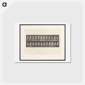アートポストカード-Man on Horse
 - エドワード マイブリッジ Postcard.